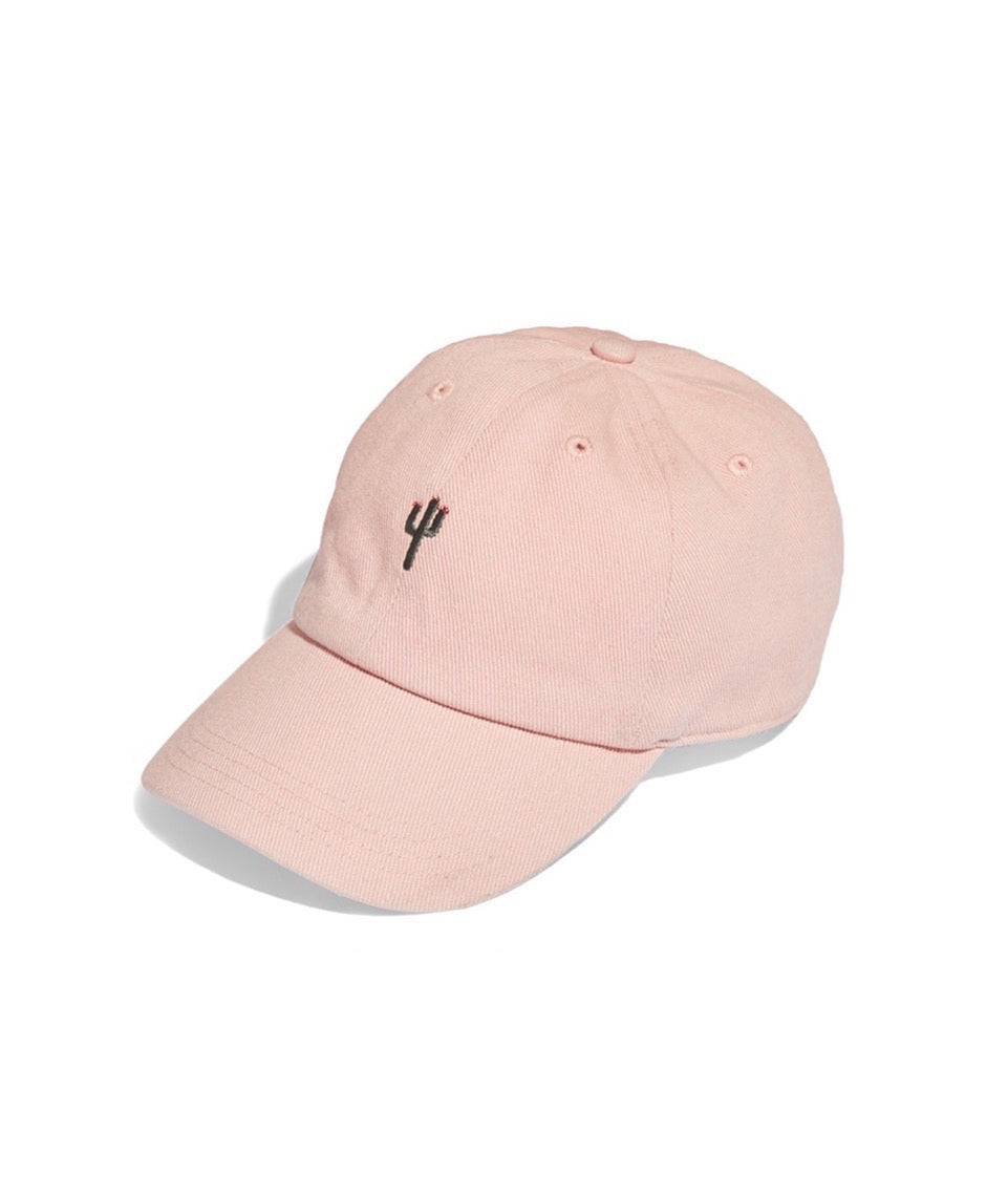 Cactus Baseball Hat in Rose Cloud